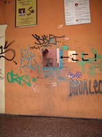 c0077533_713429.jpg