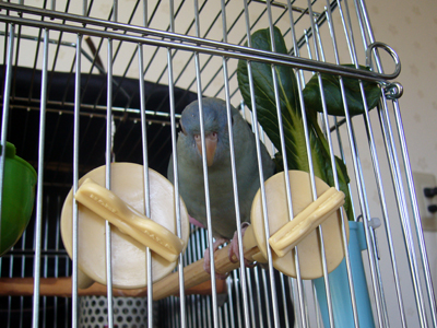 d0085148_20133218.jpg