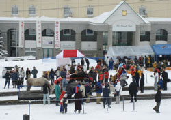 f0009457_22514171.jpg