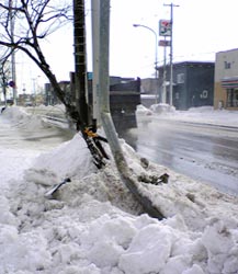 f0021369_2364714.jpg