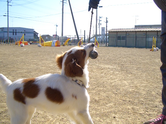 f0120770_2314428.jpg