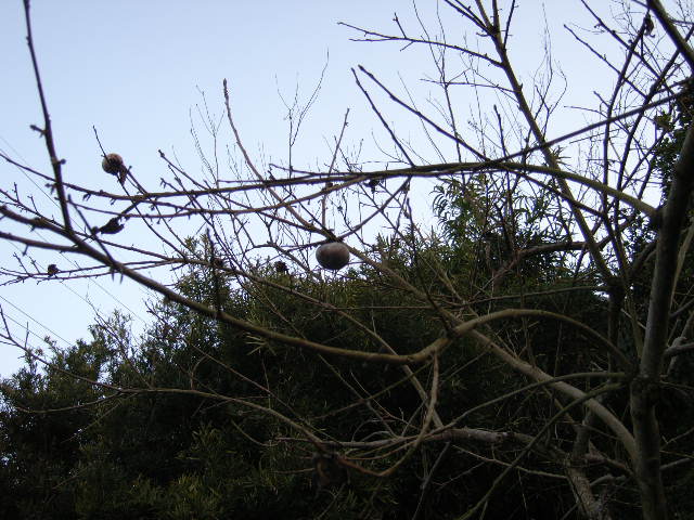 b0097871_1173641.jpg