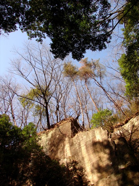 b0011185_1543078.jpg
