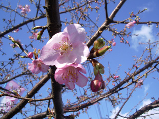 c0035386_020277.jpg