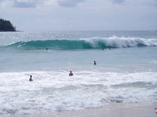 d0098388_14393222.jpg