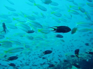 d0098388_14450100.jpg