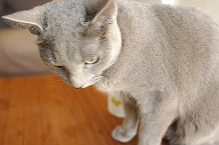 d0011689_09020.jpg