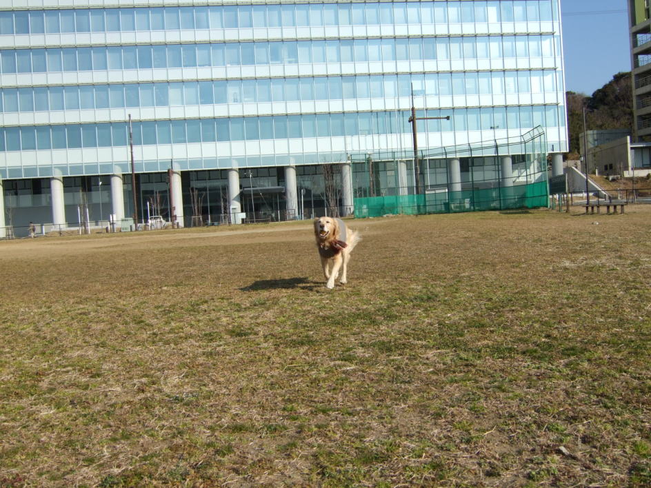 c0104492_2431447.jpg