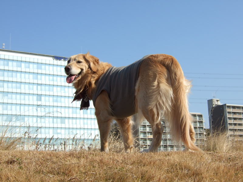 c0104492_247408.jpg