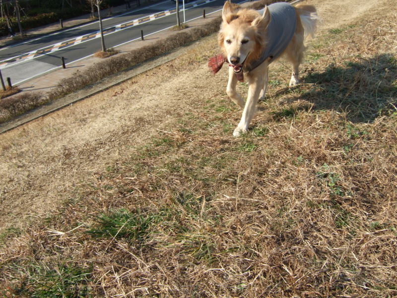 c0104492_247668.jpg