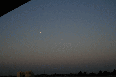 d0100192_20454746.gif
