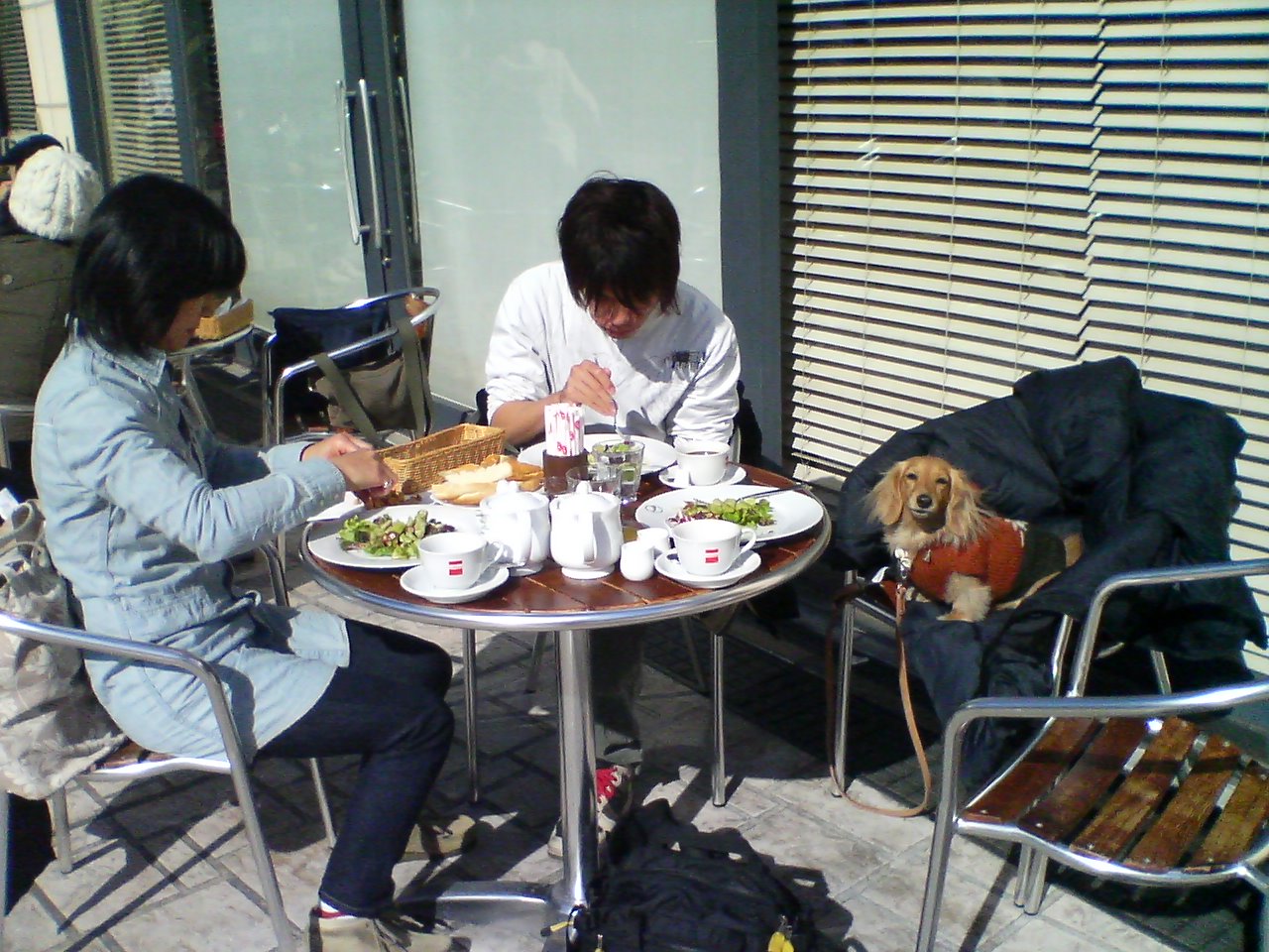 d0098295_17594536.jpg