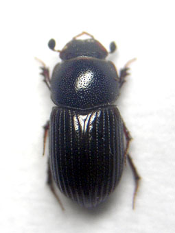 e0083097_1922229.jpg