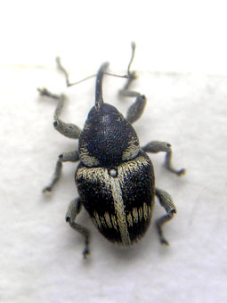 e0083097_19292479.jpg