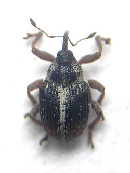 e0083097_193327100.jpg