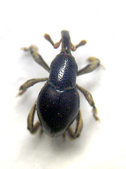 e0083097_19374051.jpg