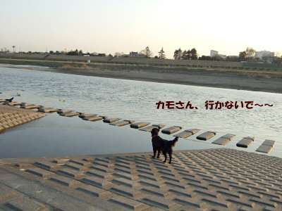 c0050400_10435310.jpg