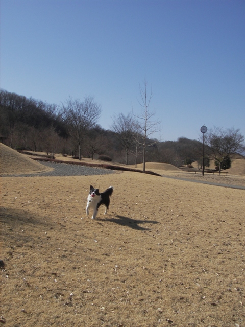 f0034602_2041460.jpg