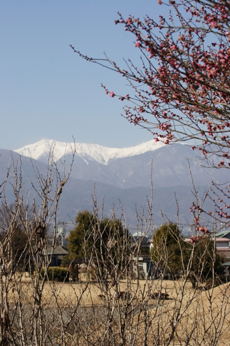 f0034602_2064925.jpg