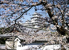 e0016709_1212950.jpg