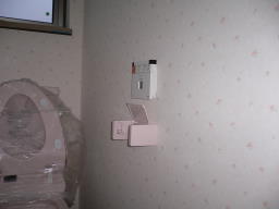f0054411_23135293.jpg