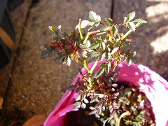 f0054421_13524472.jpg