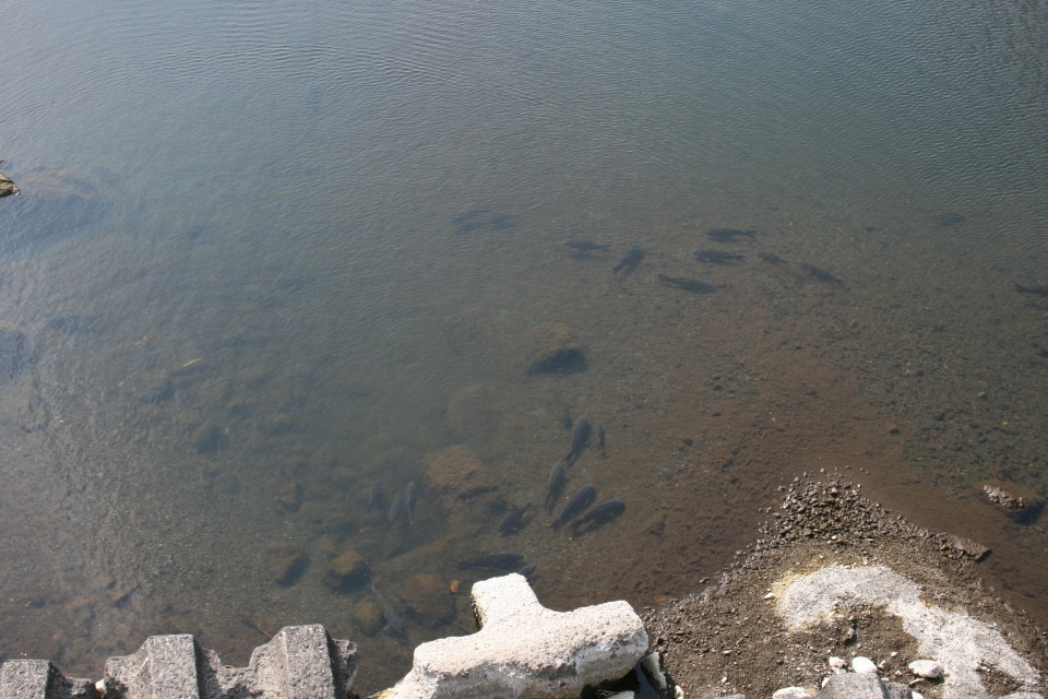 b0054622_21461943.jpg