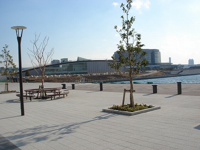 d0023323_20434273.jpg
