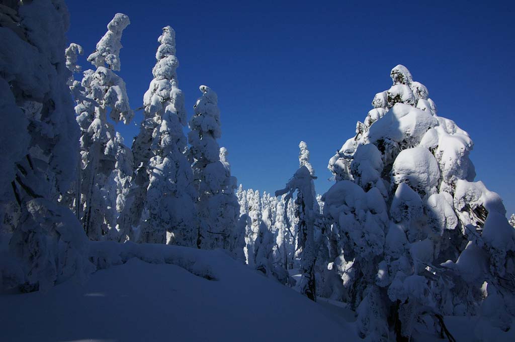 b0062024_21383032.jpg