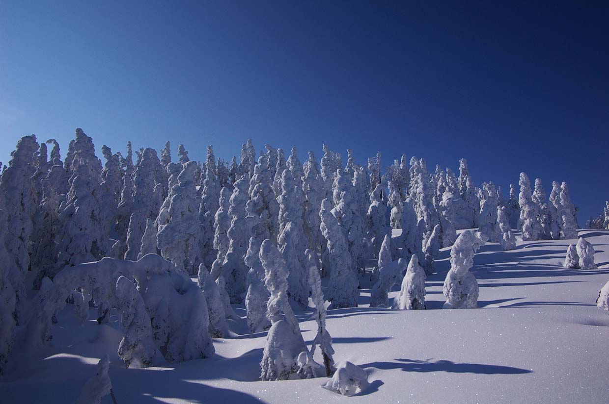 b0062024_21445313.jpg
