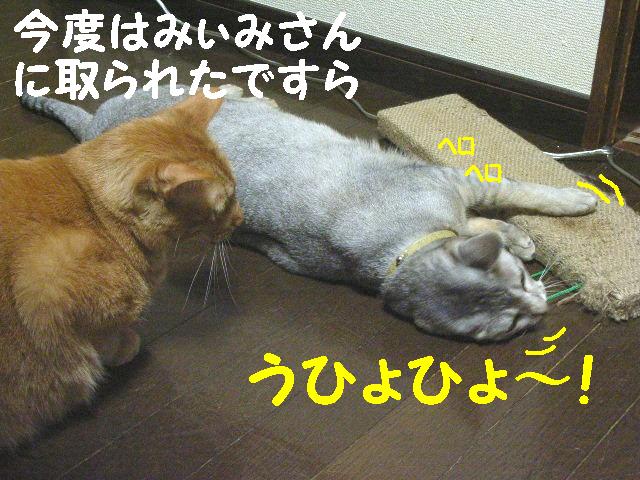 d0081025_21122333.jpg