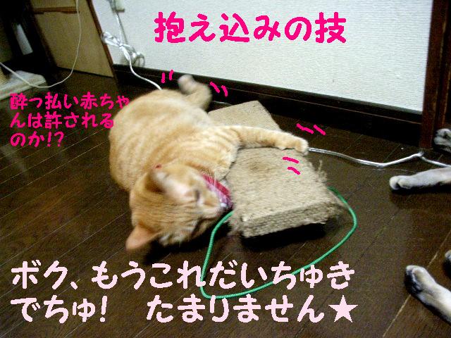 d0081025_21144176.jpg