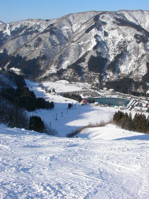 e0089227_22221160.jpg