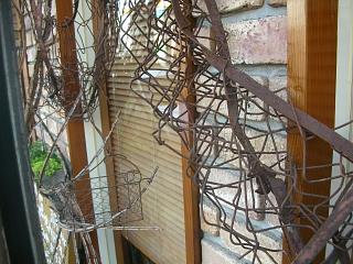 c0102228_2023361.jpg