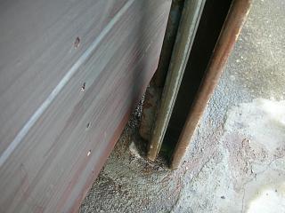 c0102228_2024383.jpg