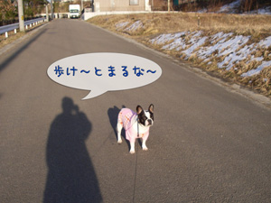 e0008833_17203969.jpg