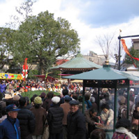 d0033734_11101759.jpg