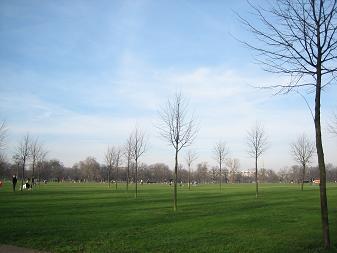 f0048134_55563.jpg