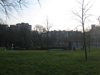 f0048134_581374.jpg