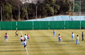 c0035043_20202417.jpg