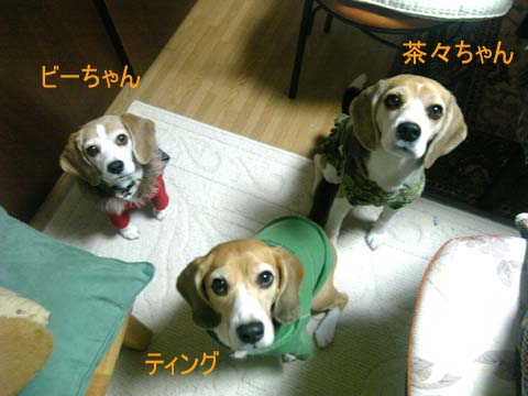 a0042044_2242136.jpg