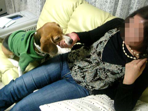 a0042044_2250373.jpg