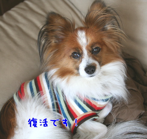 d0013149_0315567.jpg