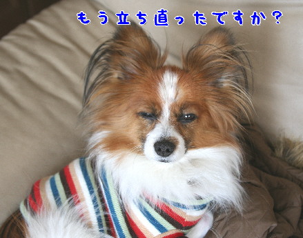 d0013149_0511238.jpg