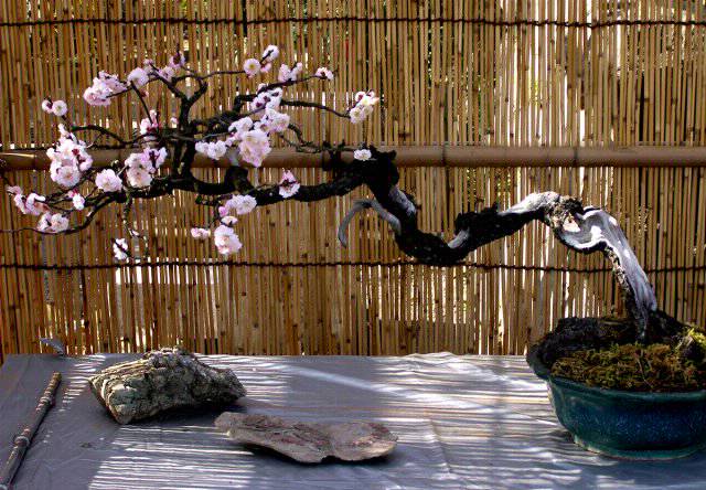 f0044056_1581440.jpg