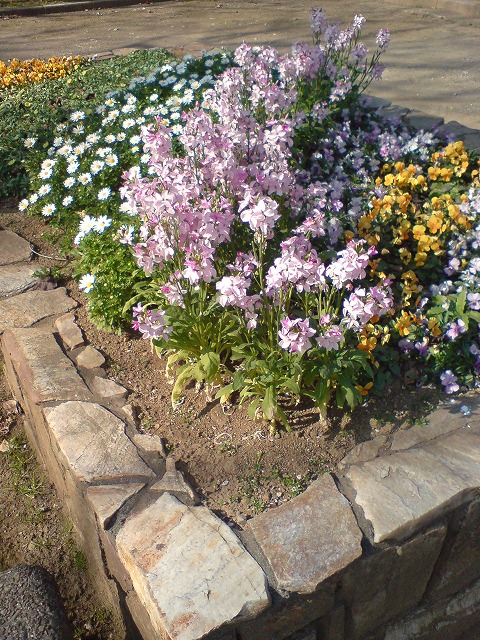 e0078069_22395775.jpg