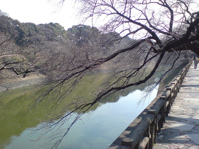 e0078069_22401244.jpg