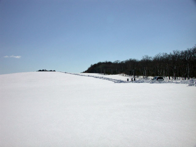 e0100772_22583986.jpg