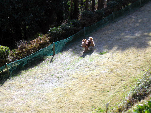 c0101073_16332529.jpg