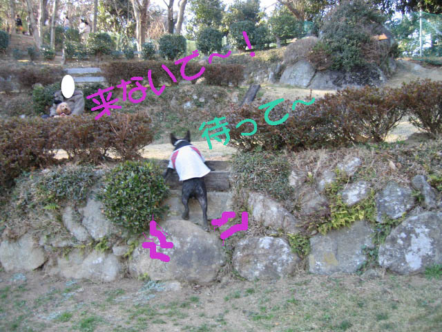 c0101073_1638325.jpg